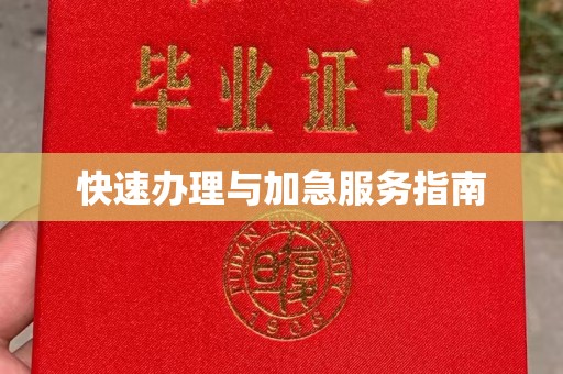凤凰快速办理与加急服务指南