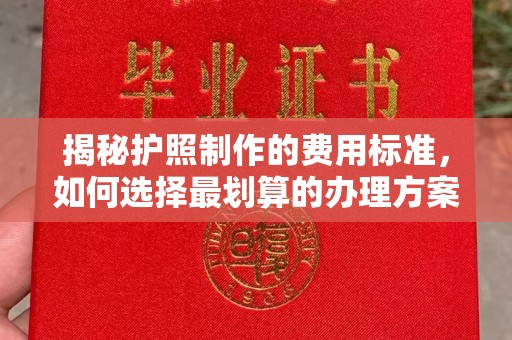 凤凰揭秘护照制作的费用标准，如何选择最划算的办理方案？