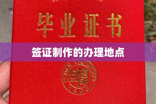 凤凰签证制作的办理地点