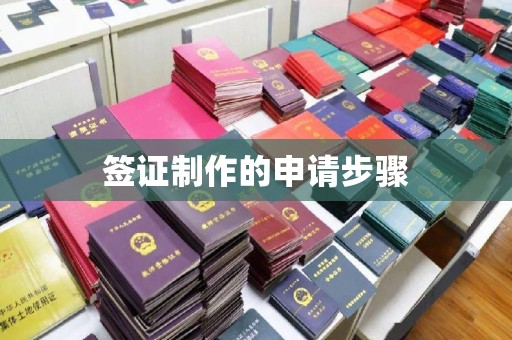 凤凰签证制作的申请步骤