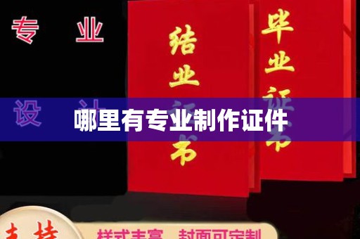 凤凰哪里有专业制作证件
