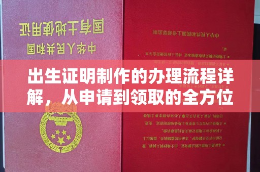 凤凰出生证明制作的办理流程详解，从申请到领取的全方位指南